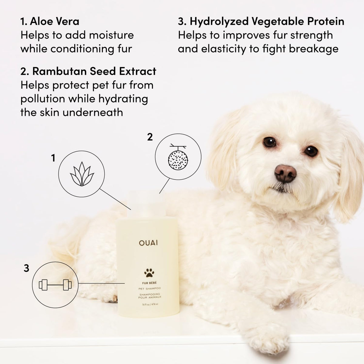 OUAI Fur Bébé Pet Shampoo, Mercer Street Scent - Dog Shampoo and Coat Wash for Hydrating, Cleansing and Adding Shine - Pet Supplies by OUAI (16 Fl Oz) OUAIBuy Supplements Australia