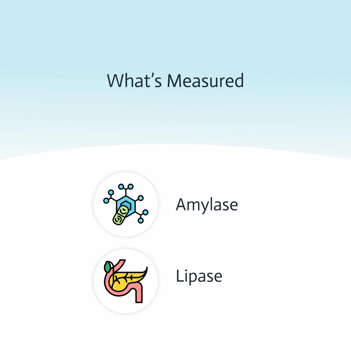 Pancreatic Function Test | 2-in-1 at-Home Test | Amylase | Lipase | Cap & CLIA Accredited Testing | Not Testable in NY & RI Choose HealthBuy Supplements Australia