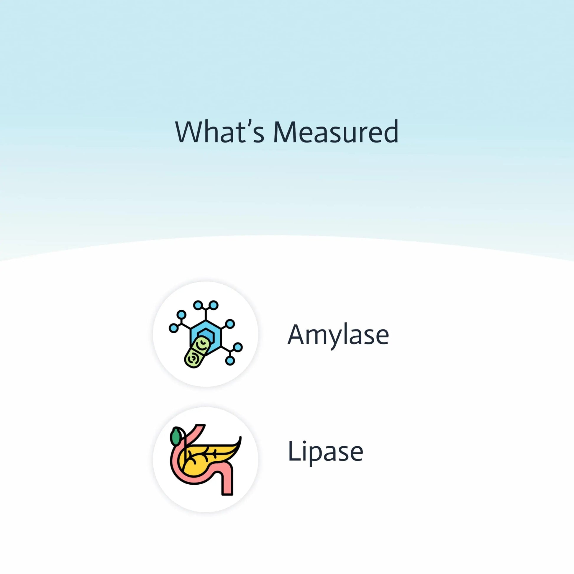 Pancreatic Function Test | 2-in-1 at-Home Test | Amylase | Lipase | Cap & CLIA Accredited Testing | Not Testable in NY & RI Choose HealthBuy Supplements Australia
