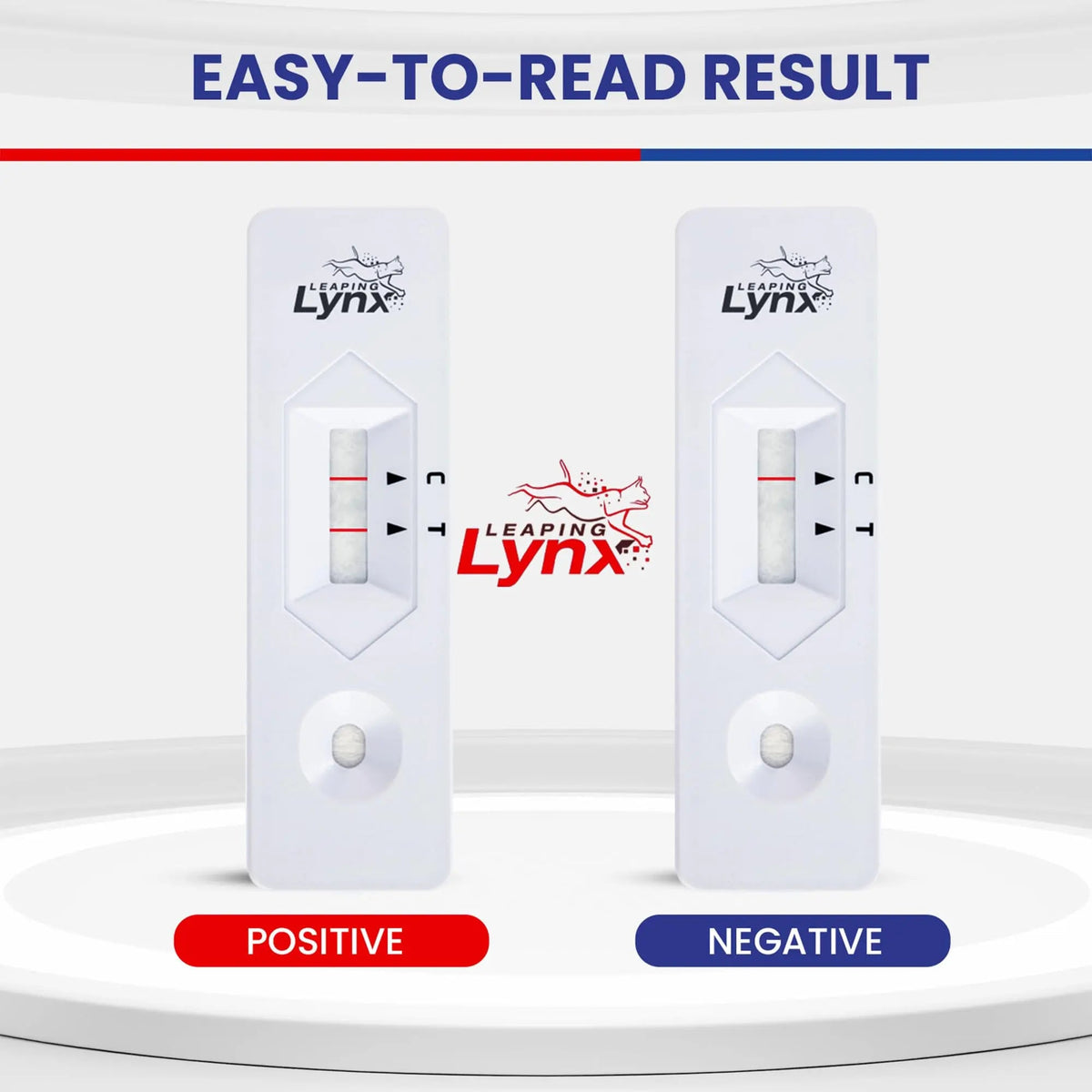 Bacteria Water Test Kit – Coliform, E. coli & Salmonella Detection for Well & Tap Water | Rapid Home Drinking Water Screening Kit with Lab-Quality Results | Leaping Lynx Leaping LynxBuy Supplements Australia