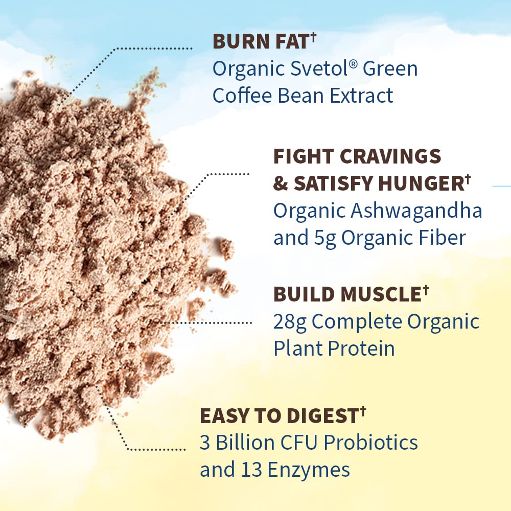Garden of Life Raw Organic Fit Vegan Protein Powder Chocolate, 28g Plant Based Protein Garden of LifeBuy Supplements Australia