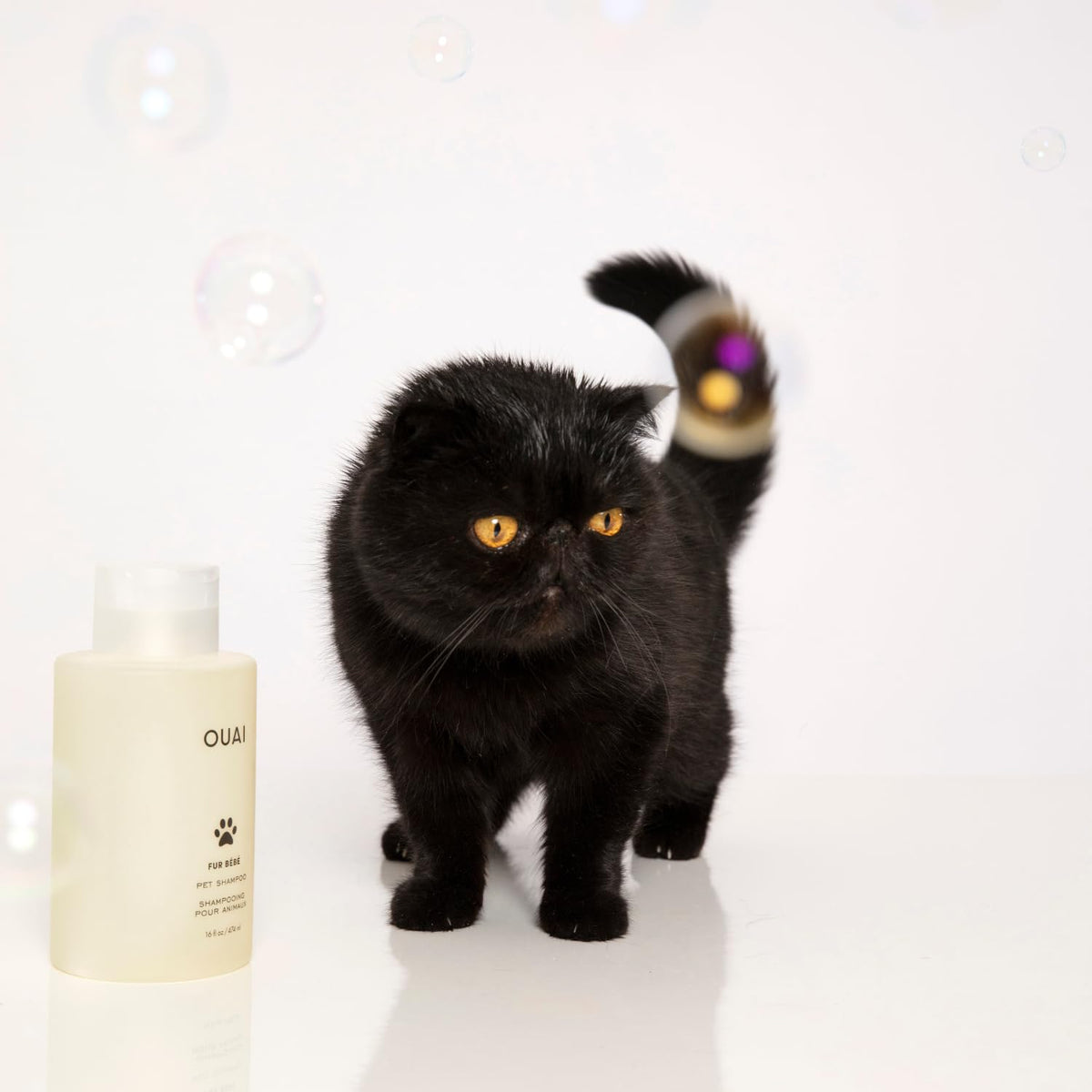 OUAI Fur Bébé Pet Shampoo, Mercer Street Scent - Dog Shampoo and Coat Wash for Hydrating, Cleansing and Adding Shine - Pet Supplies by OUAI (16 Fl Oz) OUAIBuy Supplements Australia