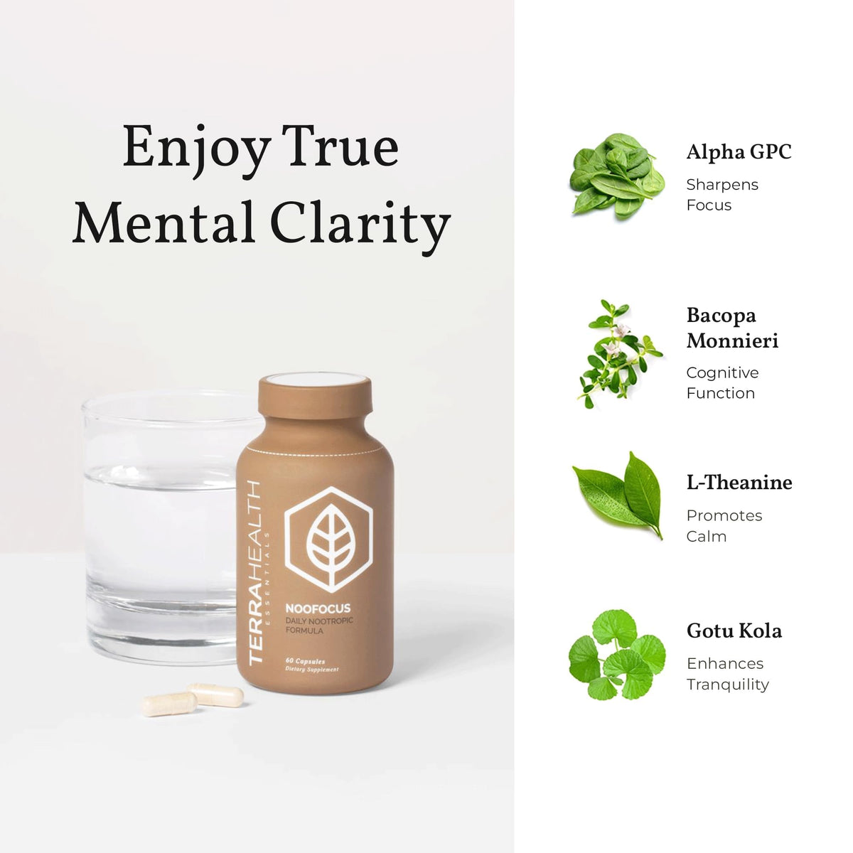 Terra Health Essentials NOOFOCUS - Nootropics Brain Support Supplement with Adaptogenic Mushrooms, Alpha-GPC, Gotu Kola, L-Theanine for Focus & Memory - All Natural, 30 Day Supply Terra Health EssentialsBuy Supplements Australia