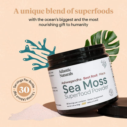 Organic Sea Moss Superfood Powder with Ashwagandha, Beet Root, and Maca Atlantic NaturalsBuy Supplements Australia