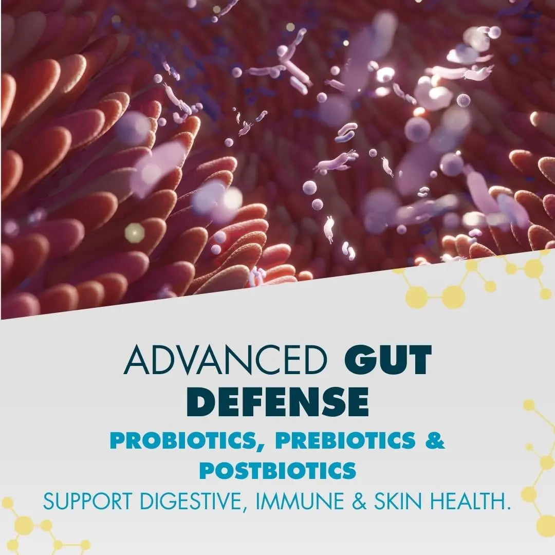 myPEAK PeakBiotic: The Ultimate Vegan Synbiotic with 50 Billion CFU Probiotics Prebiotics Postbiotics Modbiotics and Gut Lining to Enhance Digestion, Skin, and Mood with 2-Month Supply, 60 Capsules myPEAKBuy Supplements Australia