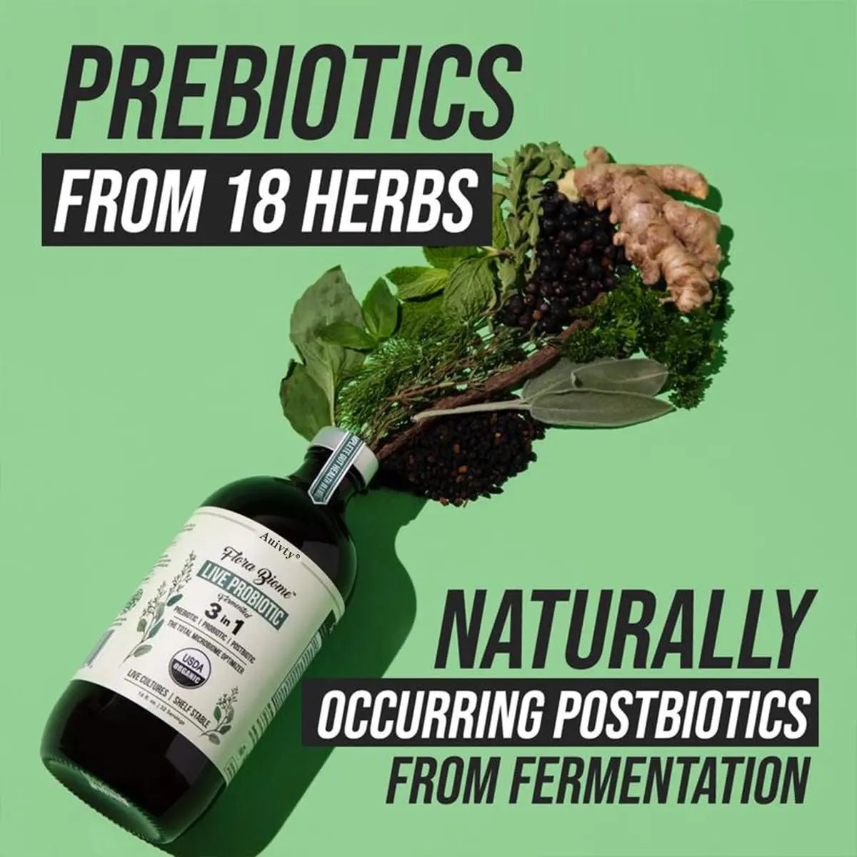 Auivty Flora Biome Live Probiotic Liquid, 3-in-1 Probiotic + Prebiotic + Postbiotic, 30 Billion CFU (at Time of Manufacture), 10 Strains, Fermented Herbal Blend with 18 Herbs, Shelf Stable, 16 fl oz AuivtyBuy Supplements Australia