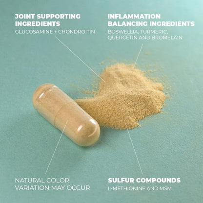 Glucosamine Chondroitin MSM Turmeric Boswellia - Joint Support Supplement. Antioxidant Vimerson HealthBuy Supplements Australia