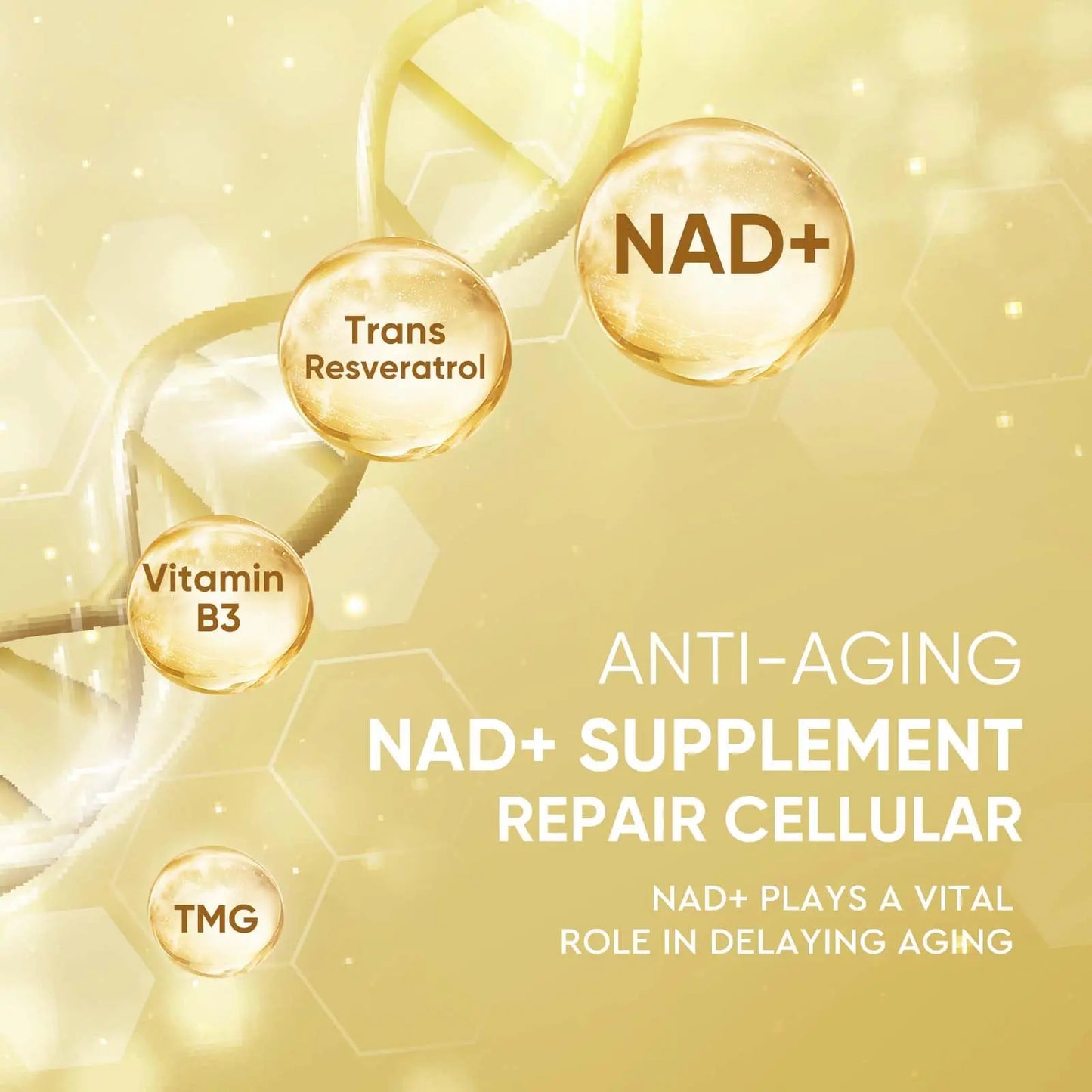 Life Nutrition NAD+ Supplement 1000 mg - 120 Capsules True NAD+ & Resveratrol, NMN Alternative Supports Anti-Aging, Cellular Energy & Repair, Metabolism & Brain Boost for Men & Women Life NutritionBuy Supplements Australia