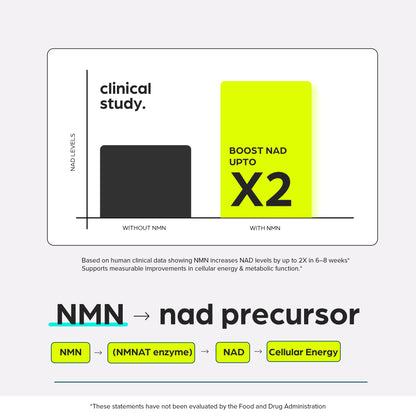 NMN Supplement 8957mg with Real NAD+ Not Just a Booster | Urolithin A, Resveratrol, CoQ10, Alpha Lipoic Acid, Green Tea Extract | Cellular Longevity & Energy Support for Men & Women ThinbiBuy Supplements Australia