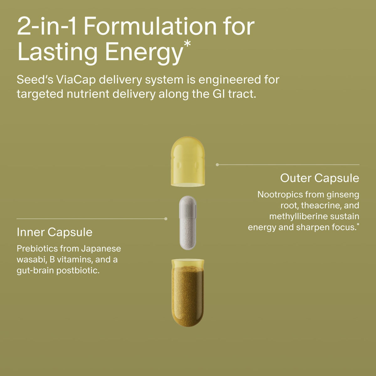 Seed AM-02 Energy + Focus - Daily Nootropic Supplement for Women & Men - Fast-Acting & Sustained Energy for Up to 6 Hours - Caffeine-Free Vegan & Shelf-Stable - 30 Capsules (30-Day Supply) Visit the Seed StoreBuy Supplements Australia