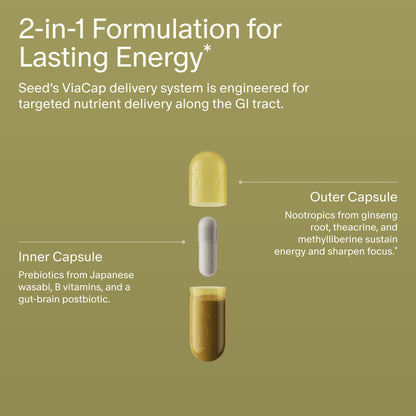 Seed AM-02 Energy + Focus - Daily Nootropic Supplement for Women & Men - Fast-Acting & Sustained Energy for Up to 6 Hours - Caffeine-Free Vegan & Shelf-Stable - 30 Capsules (30-Day Supply) Seed buy supplements Au