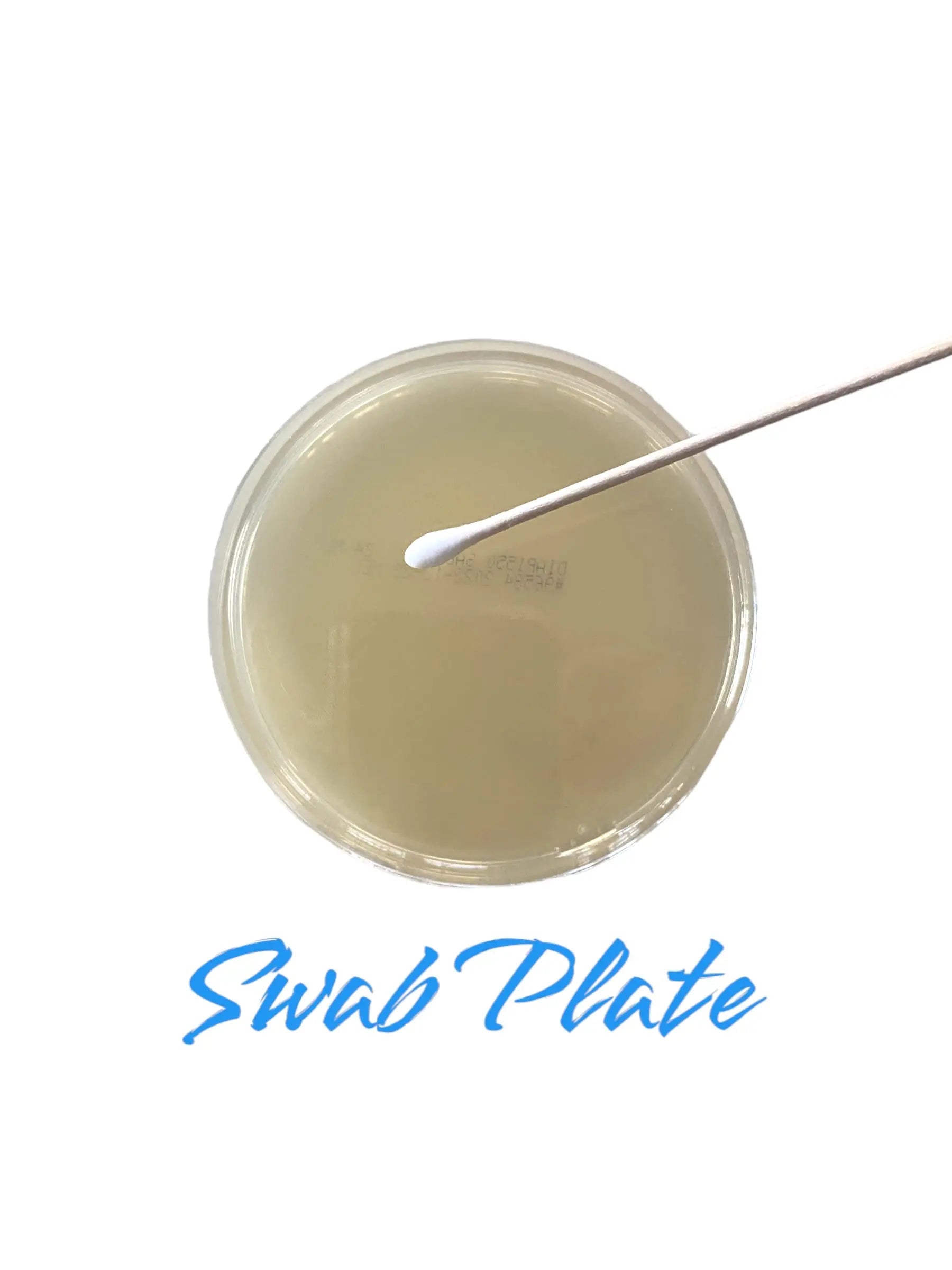 Diamante Scientific Essential Bacteria Kit. Pre-Poured Agar Plates & Swabs. Perfect for Kids. Great for Learning About Microbiology. STEM Education. Experiment Guide eBook Included! Diamante ScientificBuy Supplements Australia