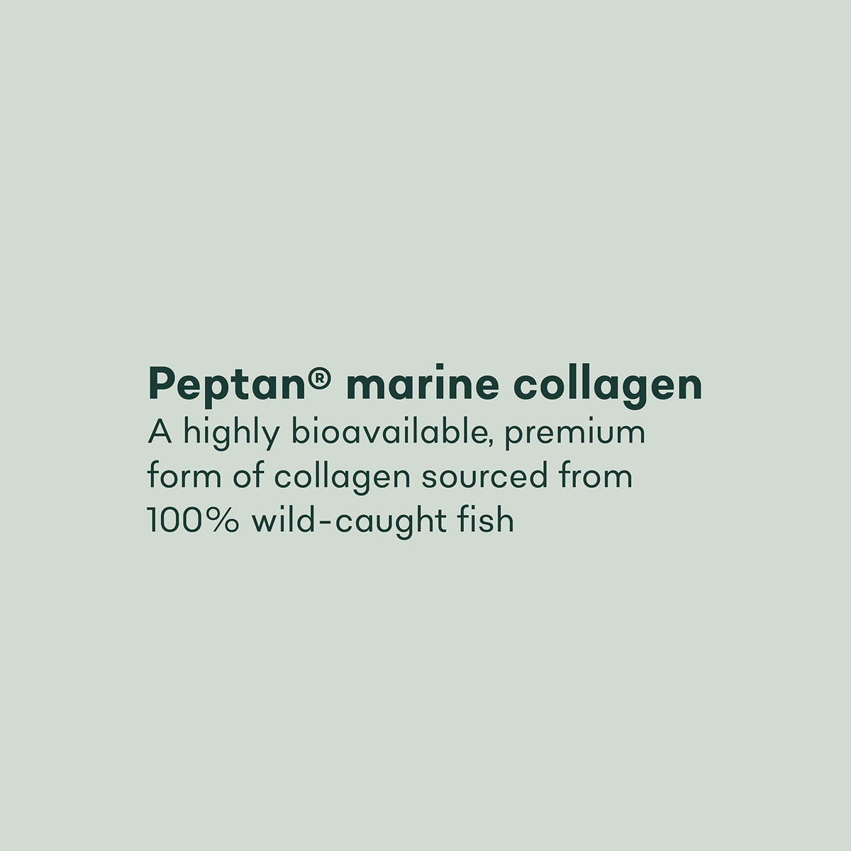 Pure Collagen Tablets - High Strength 1000mg Peptan Marine Collagen Supplements - Collagen Powder Project NutritionBuy Supplements Australia