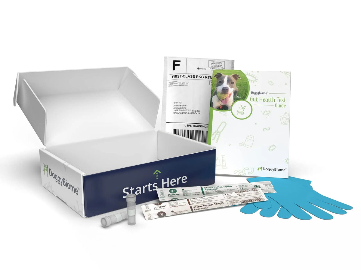 AnimalBiome Dog Gut Health Test – DoggyBiome At Home Stool Testing Kit, Canine Fecal Analysis for Digestive Issues, Diarrhea & Allergy Insights w/Personalized Report & Custom Plan (Dogs in US) AnimalBiomeBuy Supplements Australia
