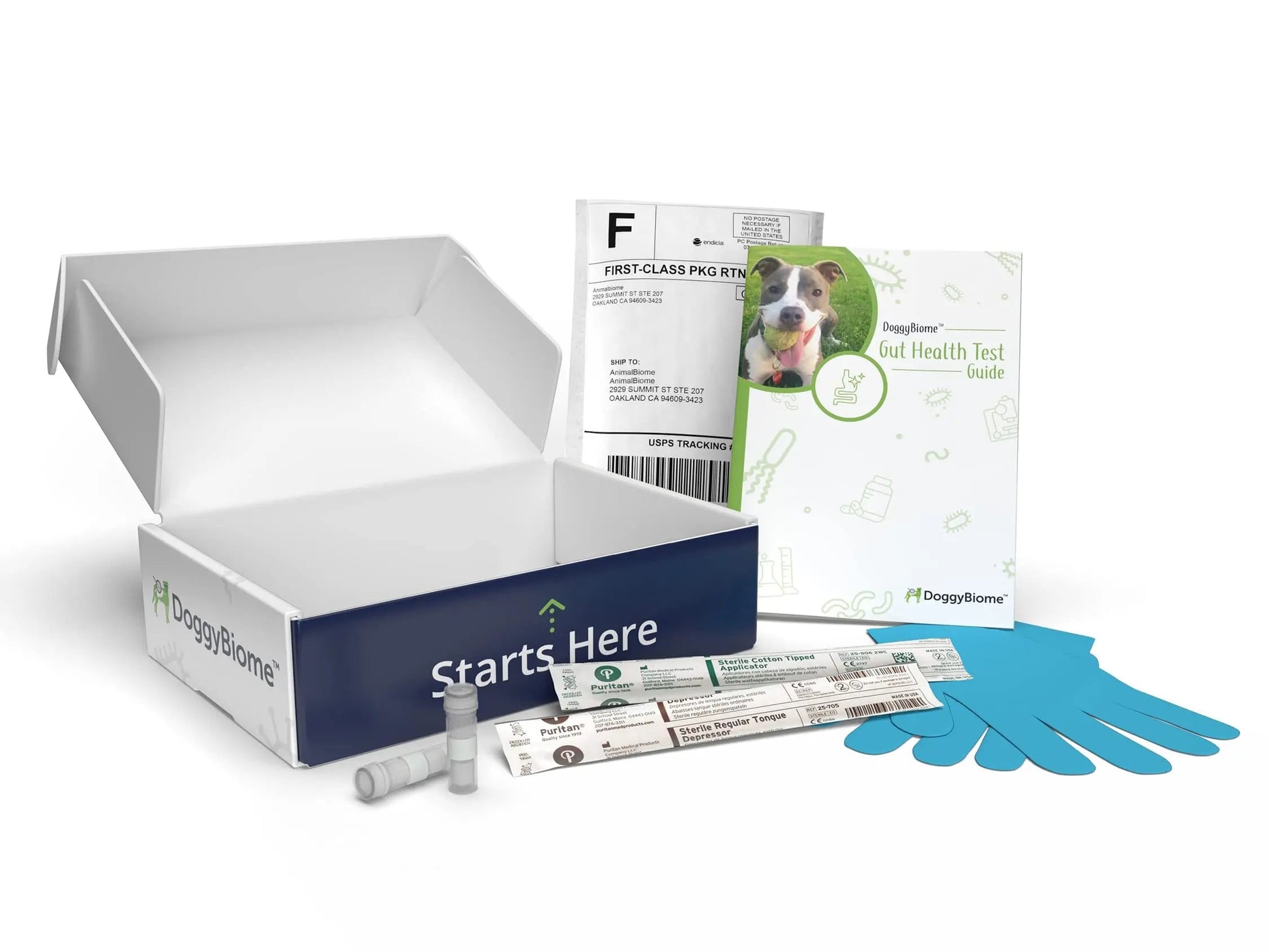 AnimalBiome Dog Gut Health Test – DoggyBiome At Home Stool Testing Kit, Canine Fecal Analysis for Digestive Issues, Diarrhea & Allergy Insights w/Personalized Report & Custom Plan (Dogs Outside US) AnimalBiomeBuy Supplements Australia