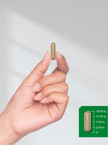 Ceylon Cinnamon Capsules | 6000 mg | 150 Count | Non-GMO & Gluten Free Supplement HorbäachBuy Supplements Australia