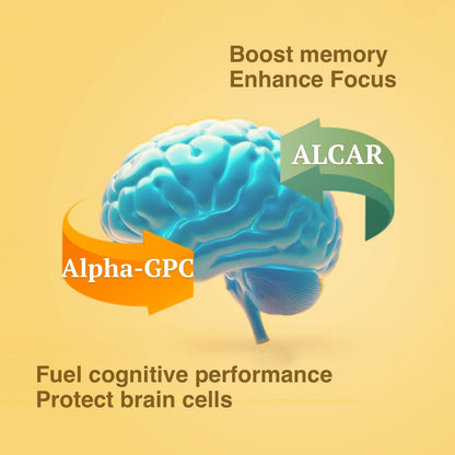 OPTINOURISH Brain Supplement for Memory and Focus, Nootropic for Adults, Fuel Brain Energy & Mental Clarity, Caffeine Free,Cognitive Support, Doctor-Formulated, Made in USA,cGMP,120 Caps OPTINOURISHBuy Supplements Australia