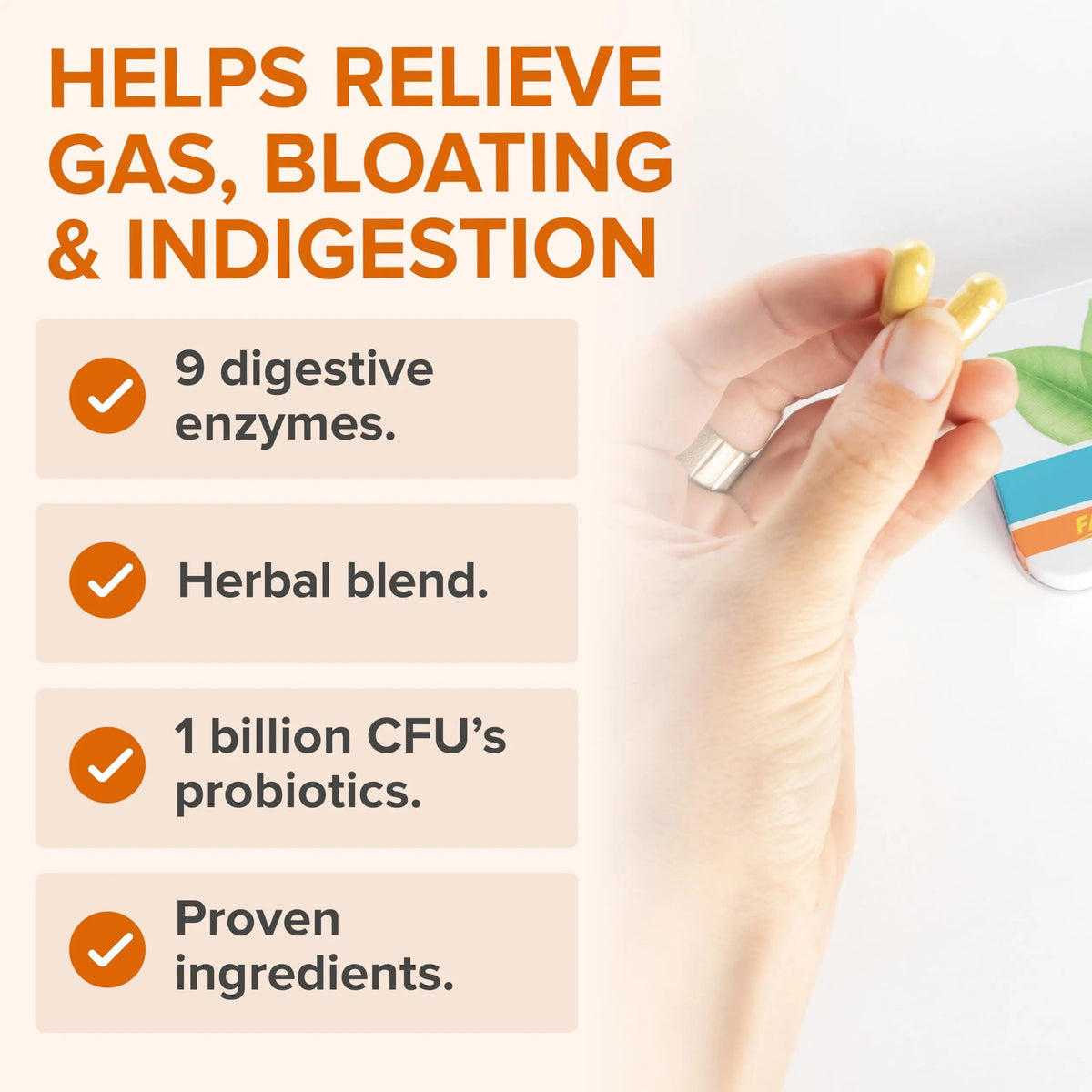 Zenwise Health No Bloat Probiotics for Women and Men Digestive Health with Ginger, Dandelion, and Lactase, Digestive Enzymes for Gas and Bloating Relief - Vegan Water Retention Pills - 14 CT Zenwise HealthBuy Supplements Australia