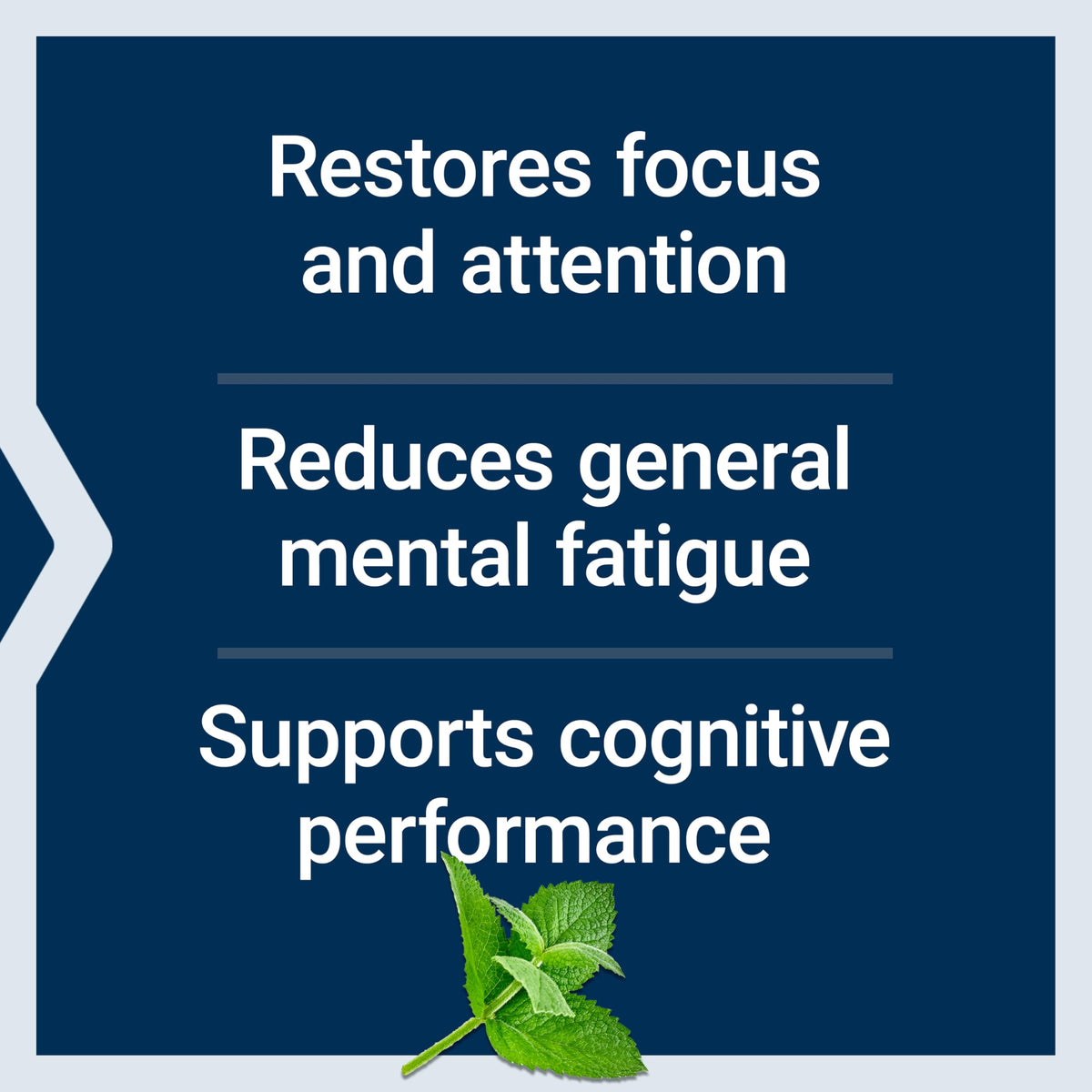 Life Extension Brain Fog Relief, Mango Leaf Extract, standardized Peppermint Oil, nootropic Brain Supplement for Clarity and Focus, Fast-Acting, Caffeine-Free, Gluten Free, Non-GMO, 30 softgels Life ExtensionBuy Supplements Australia