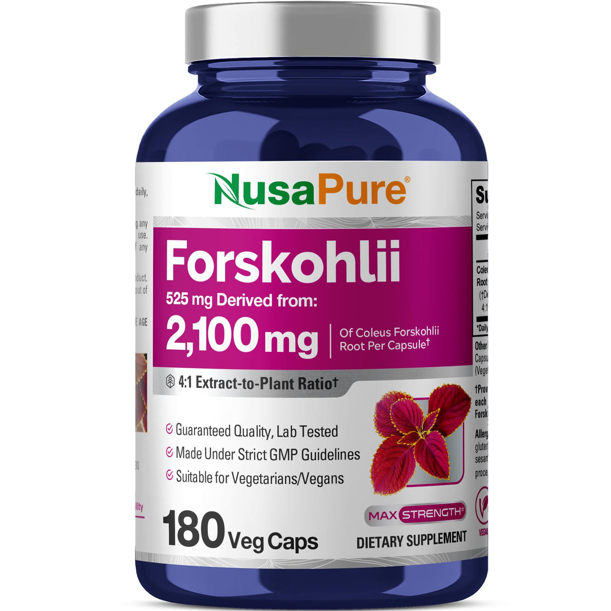 NusaPure Forskohlii 4:1 Extract, 525 mg Equivalent to 21,00 mgper Veggie Caps - 180 Capsules (Non-GMO, Vegan & Gluten Free) NusaPureBuy Supplements Australia