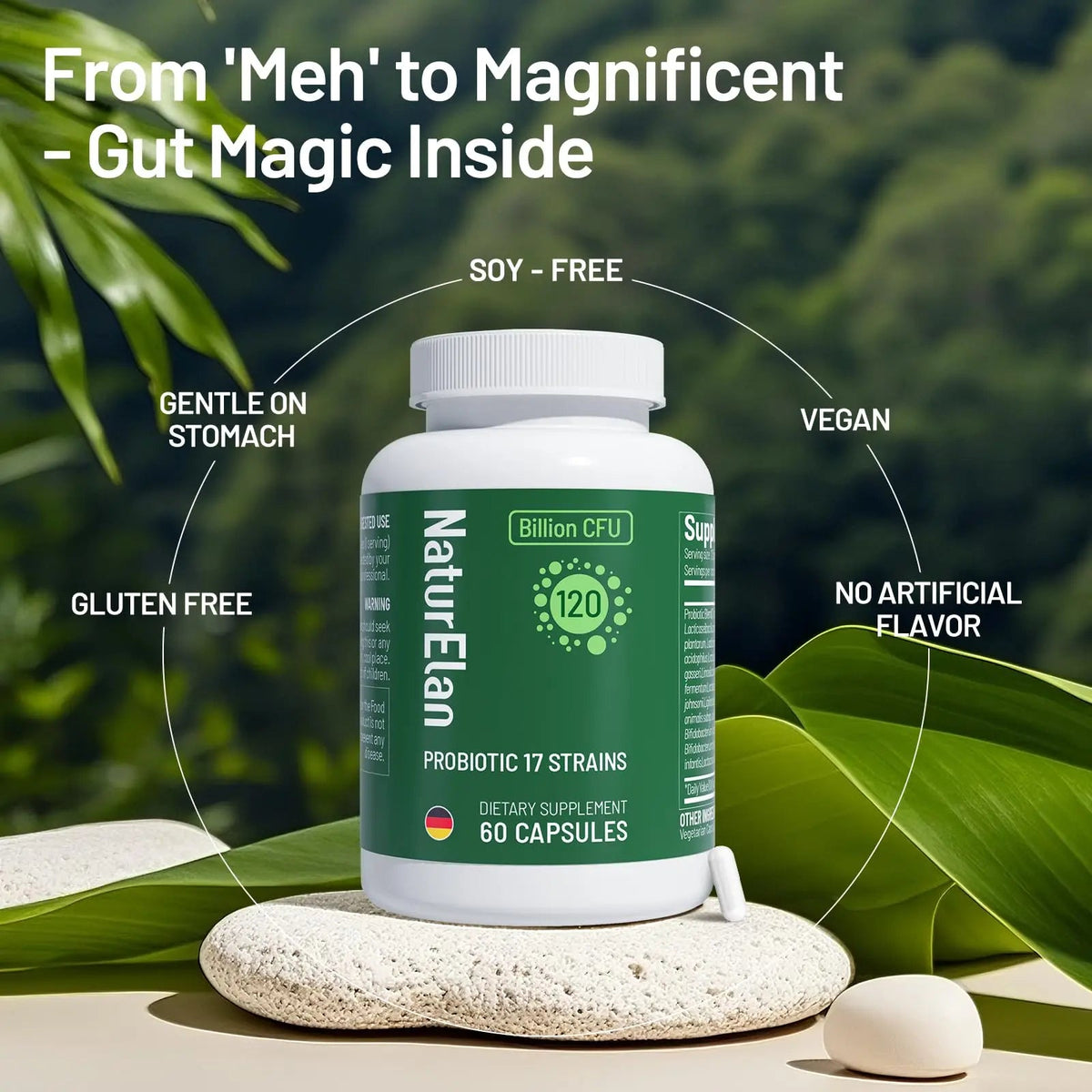 Probiotics for Women & Men - 120 Billion CFU, 17 Powerful Strains for Gut Health, Immunity & Fast Bloating Relief, Third - Party Tested, Non-GMO & Vegan Probiotics Formula for Digestive Health, 60 CT NaturElanBuy Supplements Australia