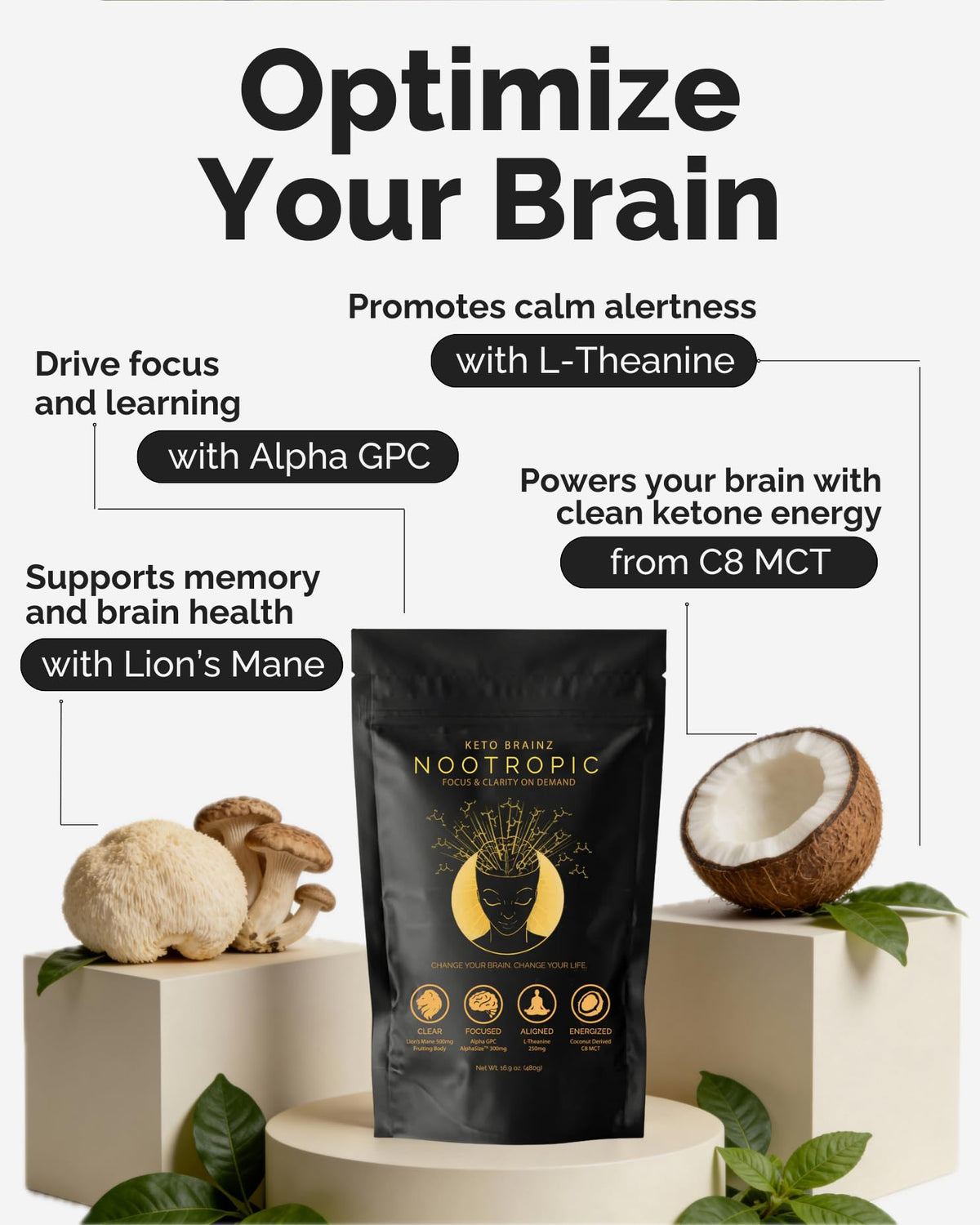 Keto Brainz C8MCT Based Nootropic - with 500mg Lion's Mane Mushroom, AlphaGPC & L-Theanine This is The Ultimate Easy to use nootropic Stack & Makes Delicious Mushroom Coffee! 16oz. 30 Servings Keto BrainzBuy Supplements Australia