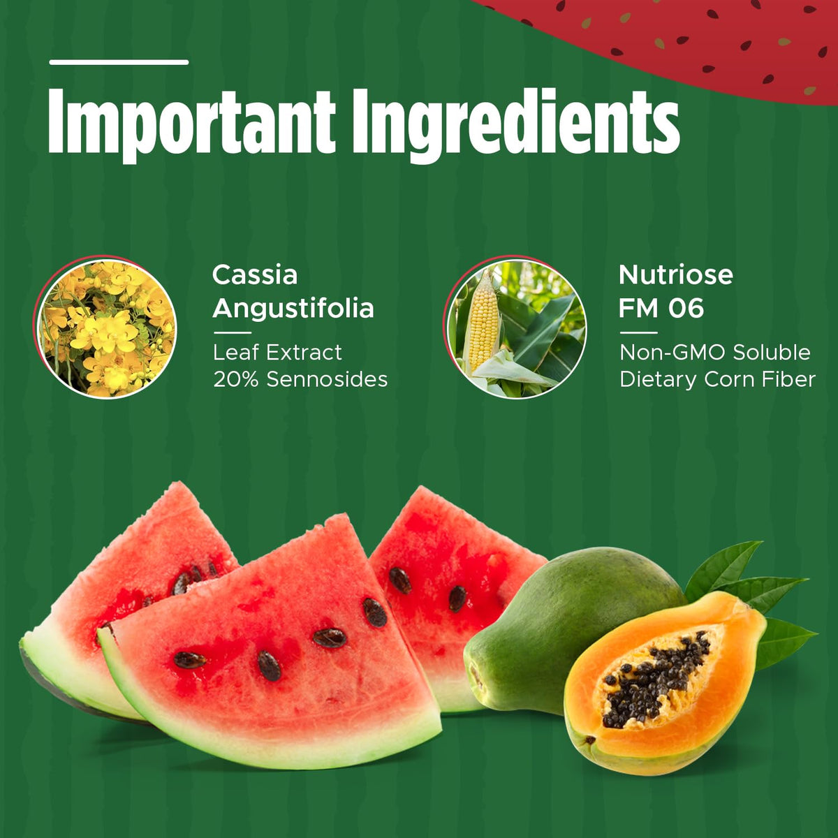 Iaso Instant Tea Watermelon Flavor - 4 grams (25 Sachets) Total Life ChangesBuy Supplements Australia