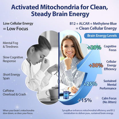 Methylene Blue Drops for Humans, 1% USP Grade – Dropper-Free No-Touch Bottle, Brain Supplement for Memory and Focus – Fast-Acting Nootropic with Methyl B12 & ALCAR – Caffeine-Free, Mint Flavor, 2oz YLVARIN THORIABuy Supplements Australia
