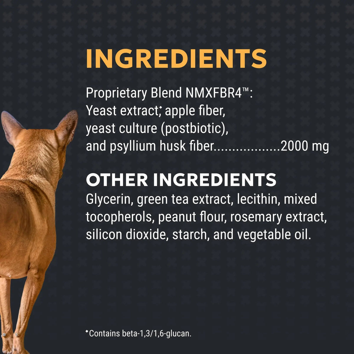 Nutramax Filaquin Anal Gland Supplement for Dogs, from The Same Company as Cosequin & Proviable, with Pre & Postbiotics and Psyllium Husk Fiber to Support Anal Gland Health, 90 Count Soft Chews Nutramax LaboratoriesBuy Supplements Australia