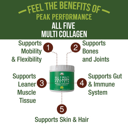 Peak Performance All 5 Multi-Collagen Protein Powder Peptides Multi-Collagen Contains All Types I, II, III,V, X. Keto, Paleo Friendly with Hydrolyzed Bovine, Marine, Chicken, Bone Broth Collagens Peak PerformanceBuy Supplements Australia