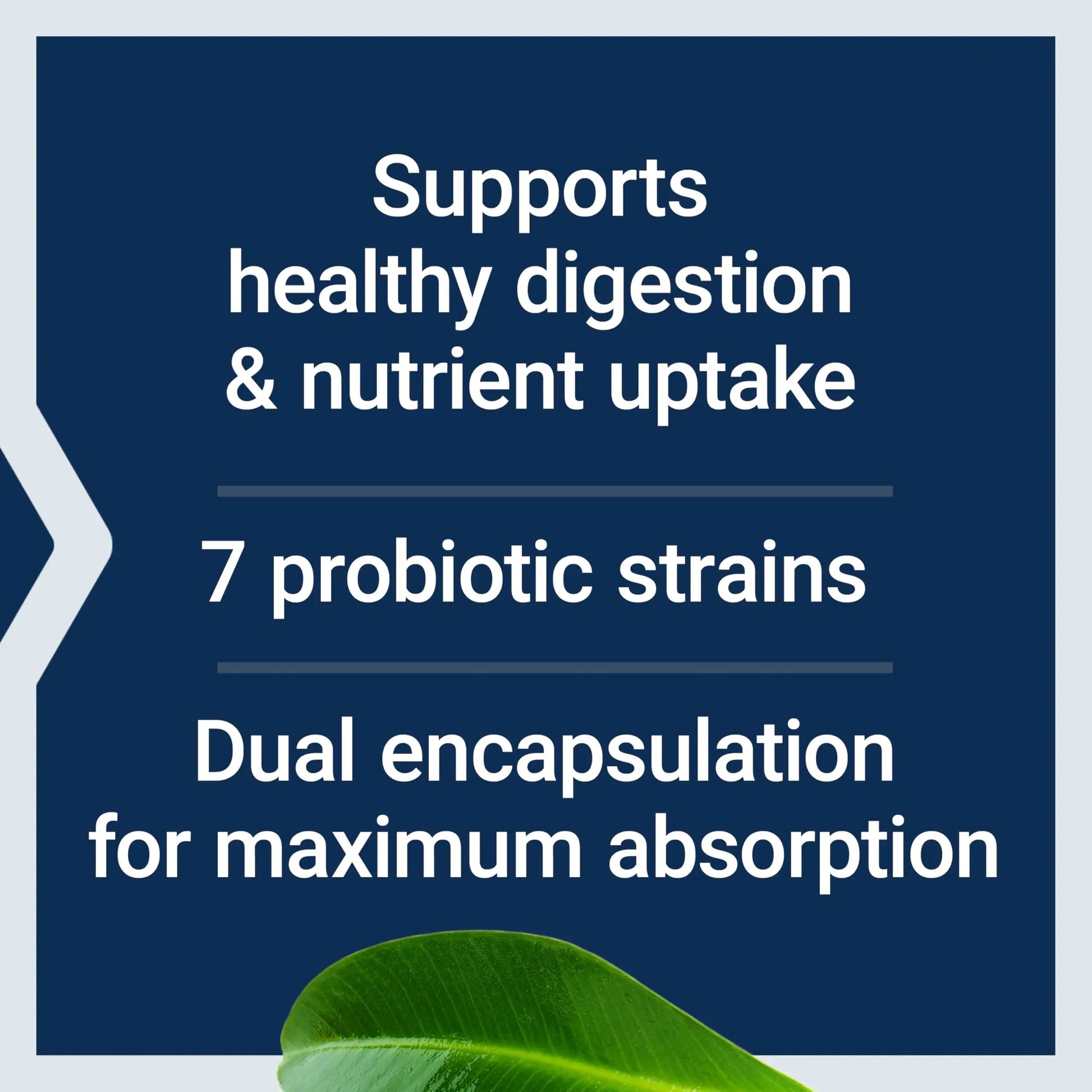Life Extension FLORASSIST® Probiotic GI with Phage Technology, Digestive Health Supplement, microbiome Balance, Gut Health, Gluten Free, Vegetarian, 30 Capsules Life ExtensionBuy Supplements Australia