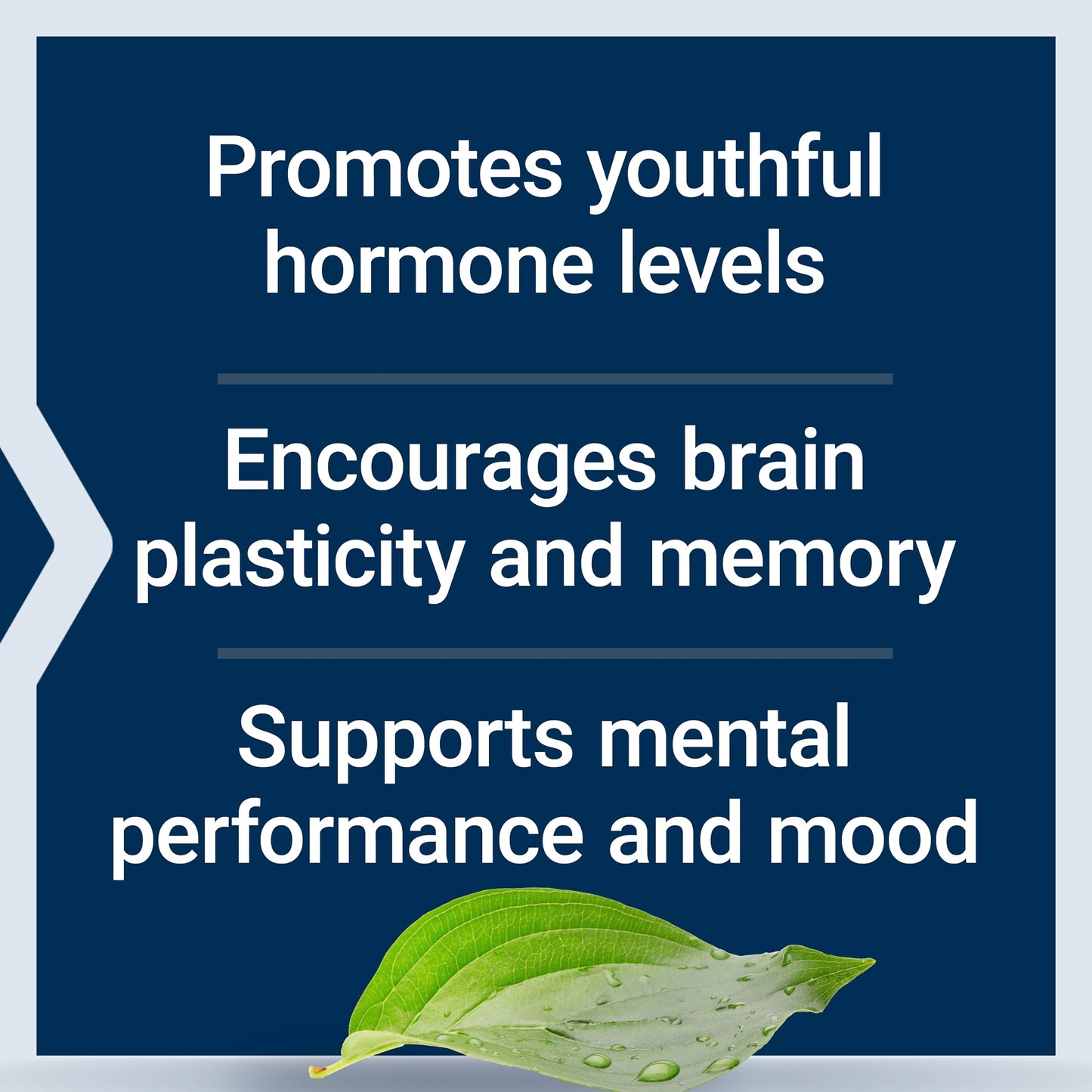 Life Extension Pregnenolone - Hormone Balance Supplement for Healthy Hormone Levels, 100 mg - Hormone Balance, Memory, Focus, Cognitive Health - Gluten-Free, Non-GMO, 100 Capsules Life ExtensionBuy Supplements Australia