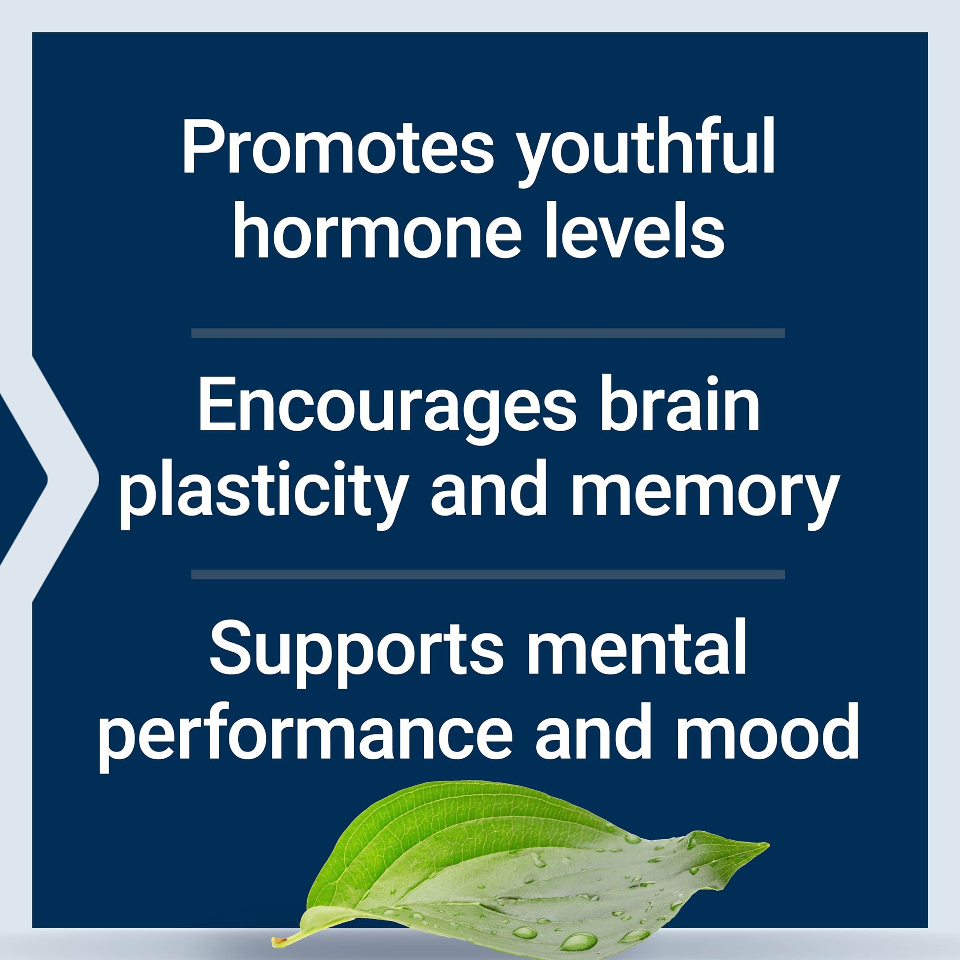 Life Extension Pregnenolone - Hormone Balance Supplement for Healthy Hormone Levels, 100 mg - Hormone Balance, Memory, Focus, Cognitive Health - Gluten-Free, Non-GMO, 100 Capsules Life ExtensionBuy Supplements Australia