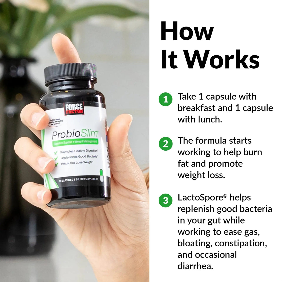 Force Factor ProbioSlim Probiotics for Women and Men, Probiotics for Digestive Health to Reduce Bloating, Gas, & Occasional Diarrhea, with Prebiotics, LactoSpore, & Green Tea for Energy, 60 Capsules ProbioSlimBuy Supplements Australia