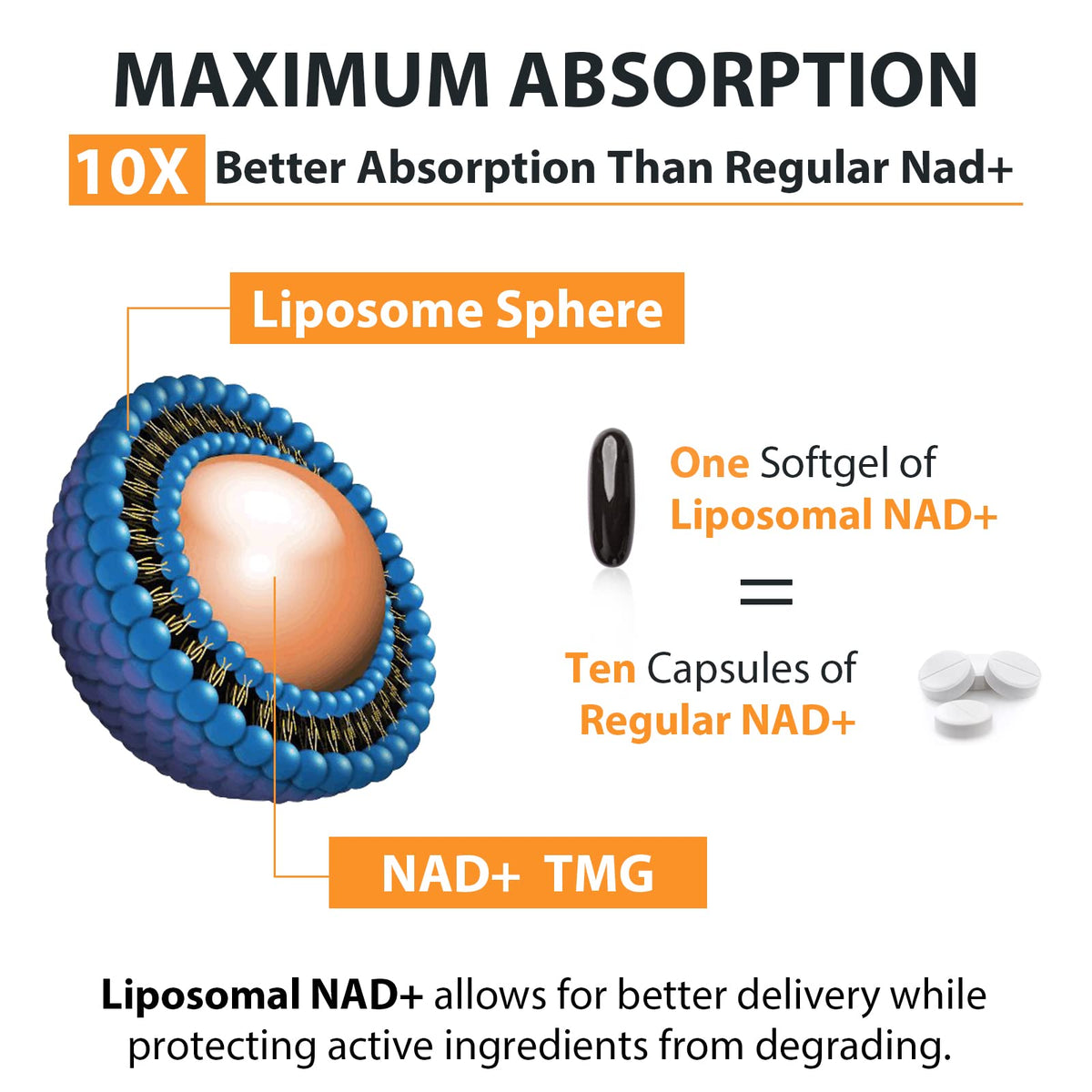 Orgabay Liposomal NAD+ Supplement 500 mg, High Absorption, Boost NAD+ with TMG 250 mg, Actual NAD Plus More Efficient Than Nicotinamide Riboside, Support Cellular Energy, Healthy Aging | 180 Softgels OrgabayBuy Supplements Australia