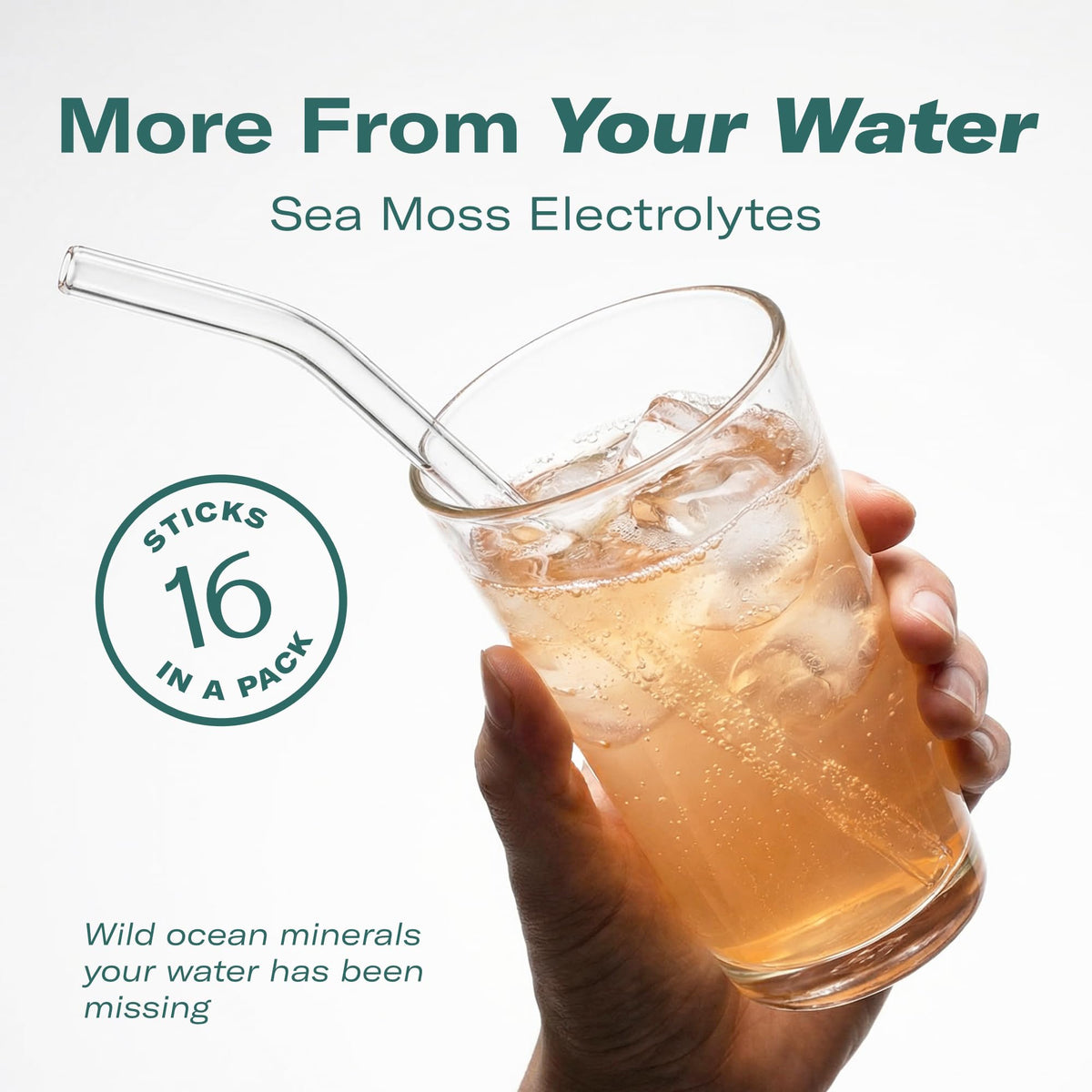TrueSeaMoss Electrolytes Powder Packets – Made in USA – 16 Stickpacks – Hydration Powder with Sea Moss with Potassium – No Sugar Drinks – Variety Pack
