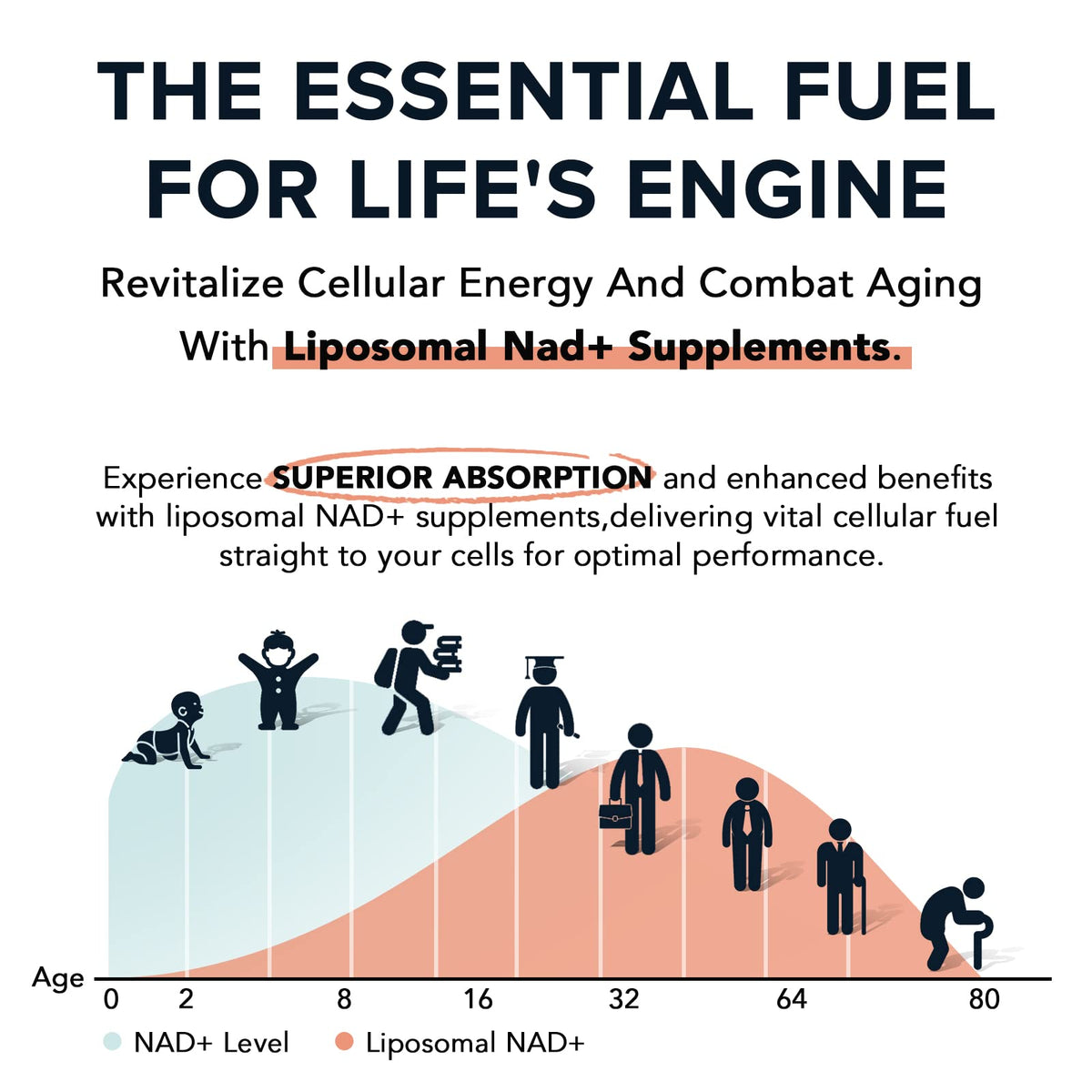 Fabamax 1600 mg Liposomal NAD Supplement, 98% Pure NAD+ Supplement, Superior Absorption, Alternative to Nicotinamide Riboside or NADH to Boost NAD+ for Aging Defense, Energy, Longevity, 120 Softgels FabamaxBuy Supplements Australia