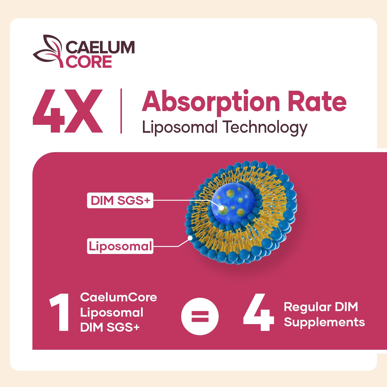 CEALMU CORE Liposomal DIM SGS Supplement - Estrogen Supplements for Women & Men Contains Sulforaphane Glucosinolate, Vitamin E, Pomegranate Fruit - Support Detox and Antioxidant (1 Pack) CEALMU COREBuy Supplements Australia