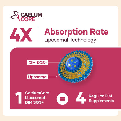 CEALMU CORE Liposomal DIM SGS Supplement - Estrogen Supplements for Women & Men Contains Sulforaphane Glucosinolate, Vitamin E, Pomegranate Fruit - Support Detox and Antioxidant (1 Pack) CEALMU COREBuy Supplements Australia