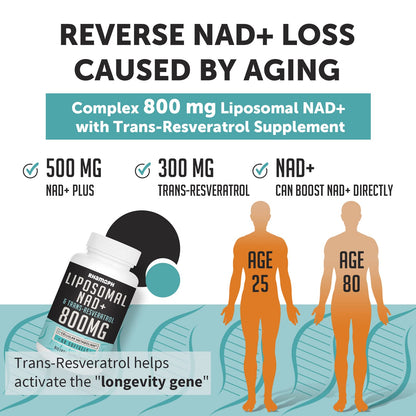 Rhamoph Liposomal NAD+ 800 mg with Trans-Resveratrol 300 mg, Max Absorption, Actual NAD+ Boosting Supplement for Healthy Aging, Cellular Energy, DNA Repair, Longevity - 120 Softgels RhamophBuy Supplements Australia