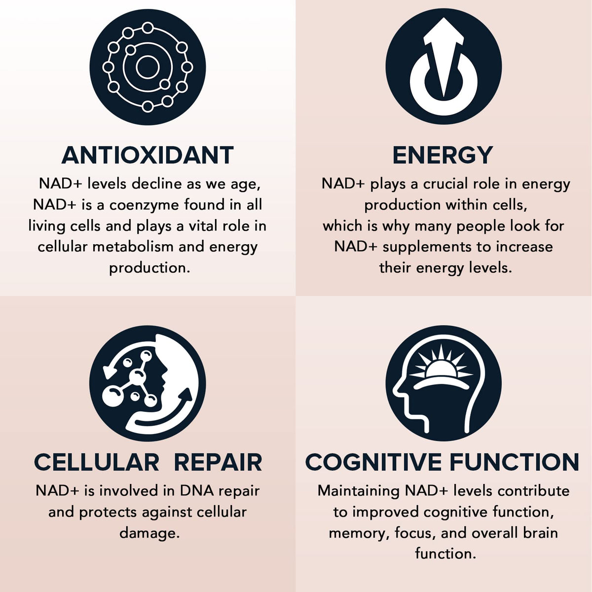 Fabamax 1600 mg Liposomal NAD Supplement, 98% Pure NAD+ Supplement, Superior Absorption, Alternative to Nicotinamide Riboside or NADH to Boost NAD+ for Aging Defense, Energy, Longevity, 120 Softgels FabamaxBuy Supplements Australia