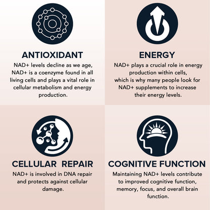 Fabamax 1600 mg Liposomal NAD Supplement, 98% Pure NAD+ Supplement, Superior Absorption, Alternative to Nicotinamide Riboside or NADH to Boost NAD+ for Aging Defense, Energy, Longevity, 120 Softgels FabamaxBuy Supplements Australia