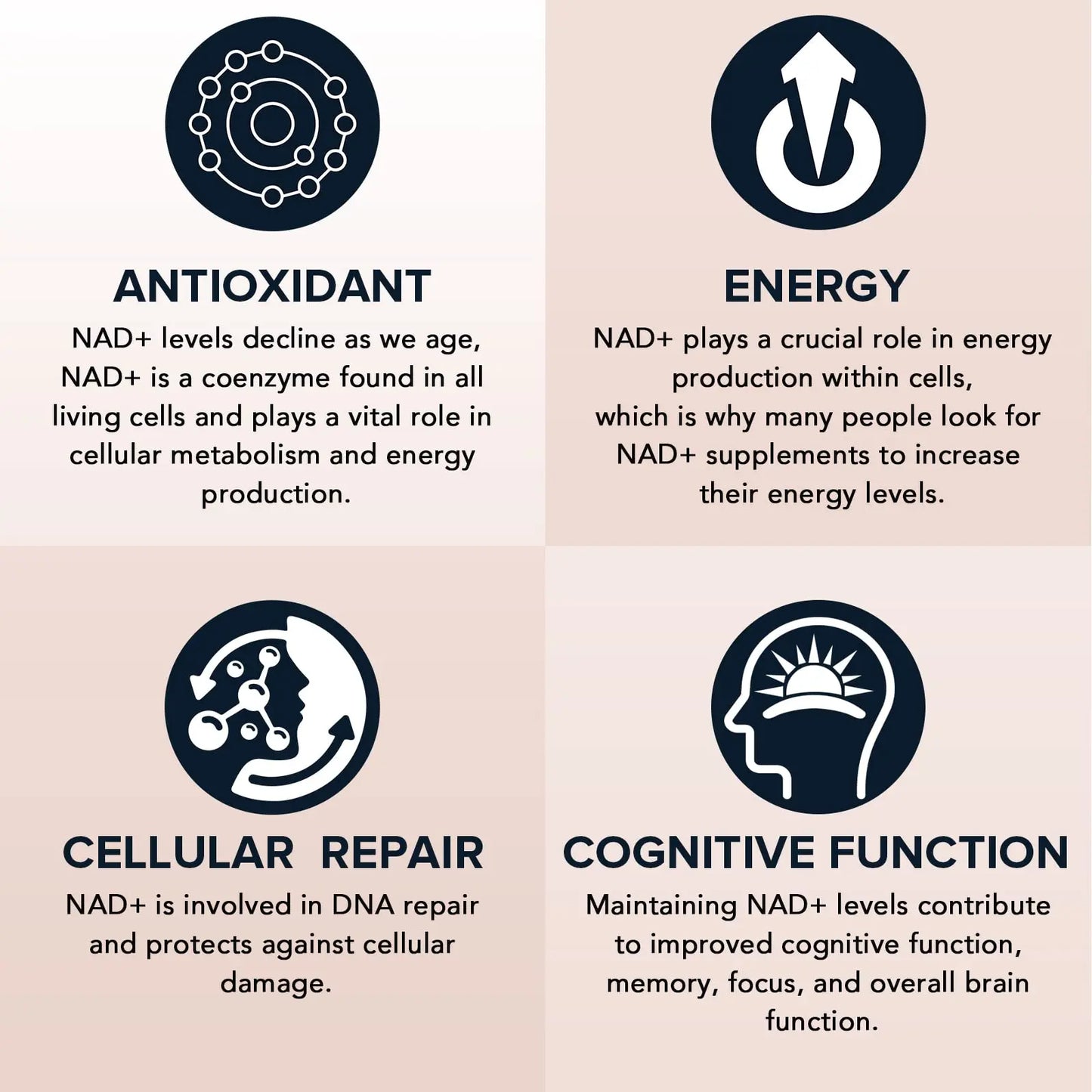Fabamax 1600 mg Liposomal NAD Supplement, 98% Pure NAD+ Supplement, Superior Absorption, Alternative to Nicotinamide Riboside or NADH to Boost NAD+ for Aging Defense, Energy, Longevity,60 Softgels FabamaxBuy Supplements Australia