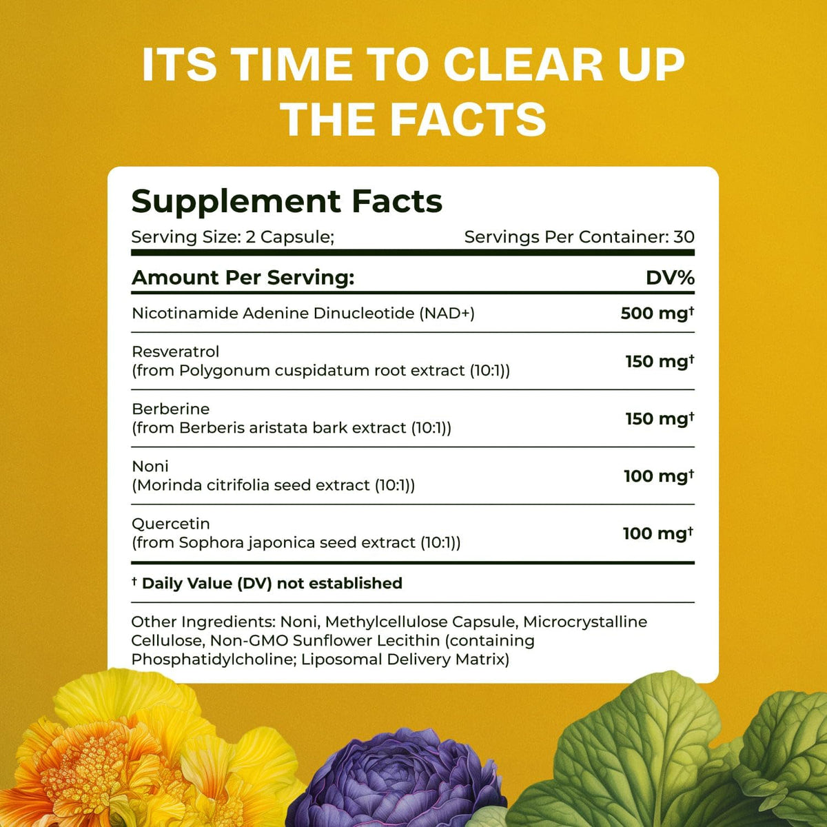 Liposomal NAD Supplement for Women w/Noni | 5-in-1 NAD Resveratrol Supplement w/Berberine & Quercetin | Pure NMN Powder Alternative | Supports Anti Aging & NAD+ Levels | 60 caps - 1 Pack Resurrected HealthBuy Supplements Australia