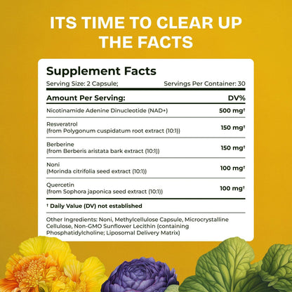 Liposomal NAD Supplement for Women w/Noni | 5-in-1 NAD Resveratrol Supplement w/Berberine & Quercetin | Pure NMN Powder Alternative | Supports Anti Aging & NAD+ Levels | 60 caps - 1 Pack Resurrected HealthBuy Supplements Australia