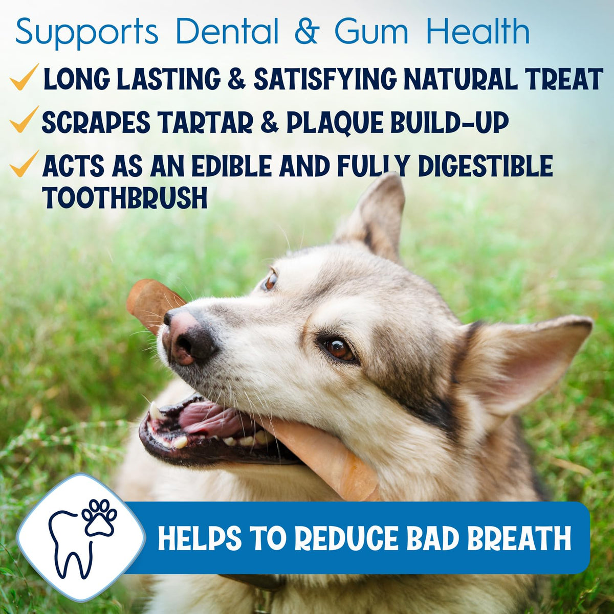 FETCHERONI 6" Collagen Sticks for Dogs – Low Odor Long-Lasting Bully Stick & Rawhide Alternative, Single Ingredient Beef Bone, High Protein Dental Treat, Vet Approved, Improves Joint Health – 5 Pack FETCHERONIBuy Supplements Australia