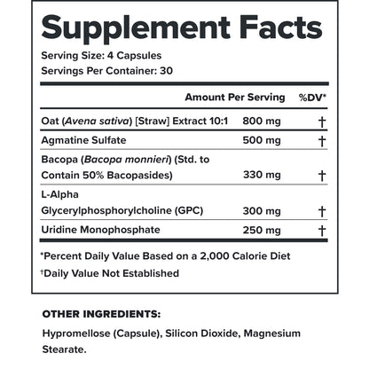 LEGION Athletics Ascend Nootropic - All-Natural Brain Supplements for Memory and Focus - Nootropics Brain Support Supplement with Alpha-GPC - Brain Supplement for Alertness & Mood Support, 30 Servings LEGIONBuy Supplements Australia