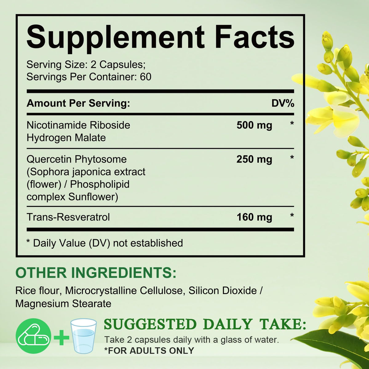 XINSZLIN NAD Supplement, NAD Nicotinamide Riboside Resveratrol 910mg, High Purity NAD Supplement for Healthy Cellular Function, Supports NAD Levels Healthy Skin Aging Dietary Supplement 120 Capsules XINSZLINBuy Supplements Australia