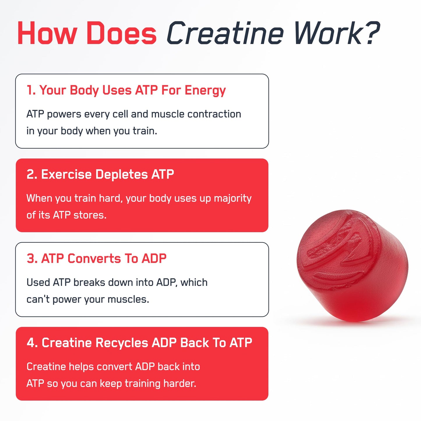 SteelFit Creapure Creatine Monohydrate Gummies for Men & Women, Juicy Watermelon - Gym Workout Nutritional Supplements for Muscle Gain, Brain Health & Strength Building Dietary Supplement, 120 Gummies SteelFitBuy Supplements Australia