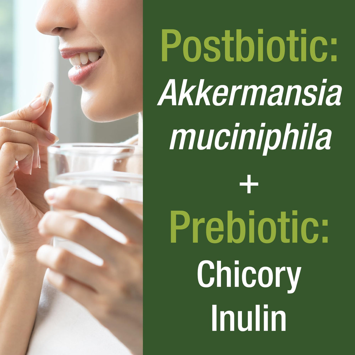 Akkermansia Probiotic to Increase GLP-1 Production. Ultra High Strength Akkermansia Muciniphila Live Strain with Prebiotic Fiber for Gut Health & Microbiome Balance. Delayed Release, 3rd Party Tested Peak PerformanceBuy Supplements Australia